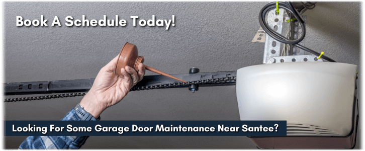 Garage Door Maintenance Santee